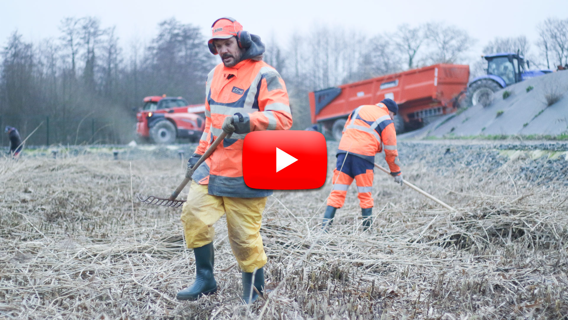 Coupe des roseaux sur les stations d'épuration