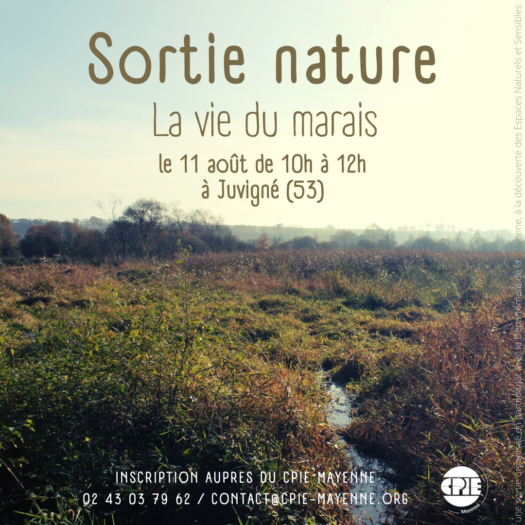 La vie du marais avec le CPIE Mayenne