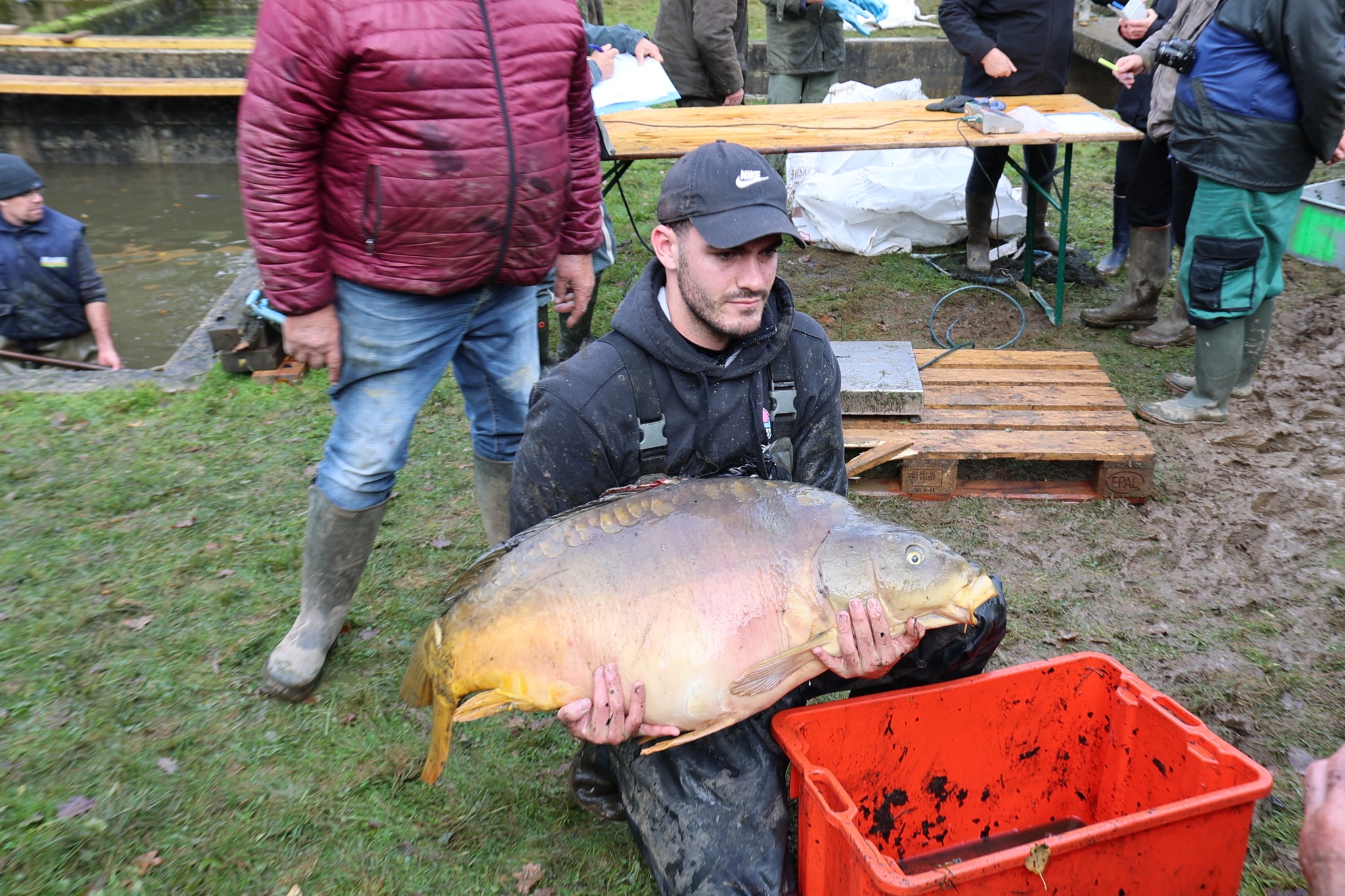 Vidange et pêche à l'Étang Neuf de Juvigné