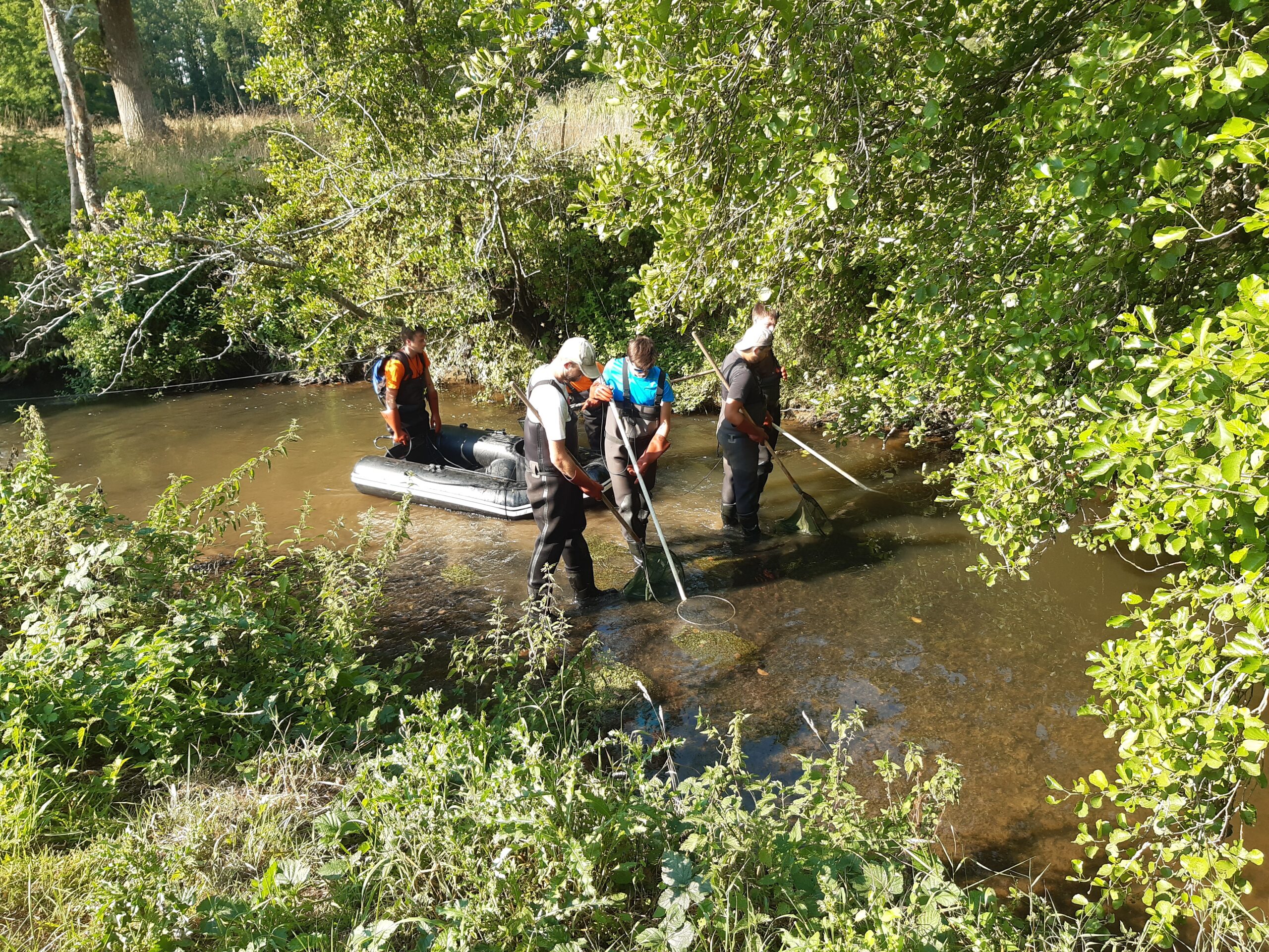 Gestion des milieux aquatiques