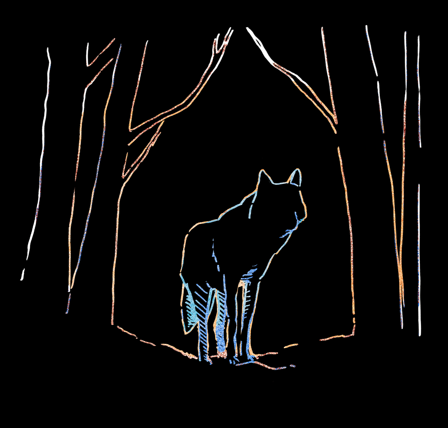 Les Veillées du Bois Dormant – L’École Parallèle Imaginaire / résidence de territoire + conte